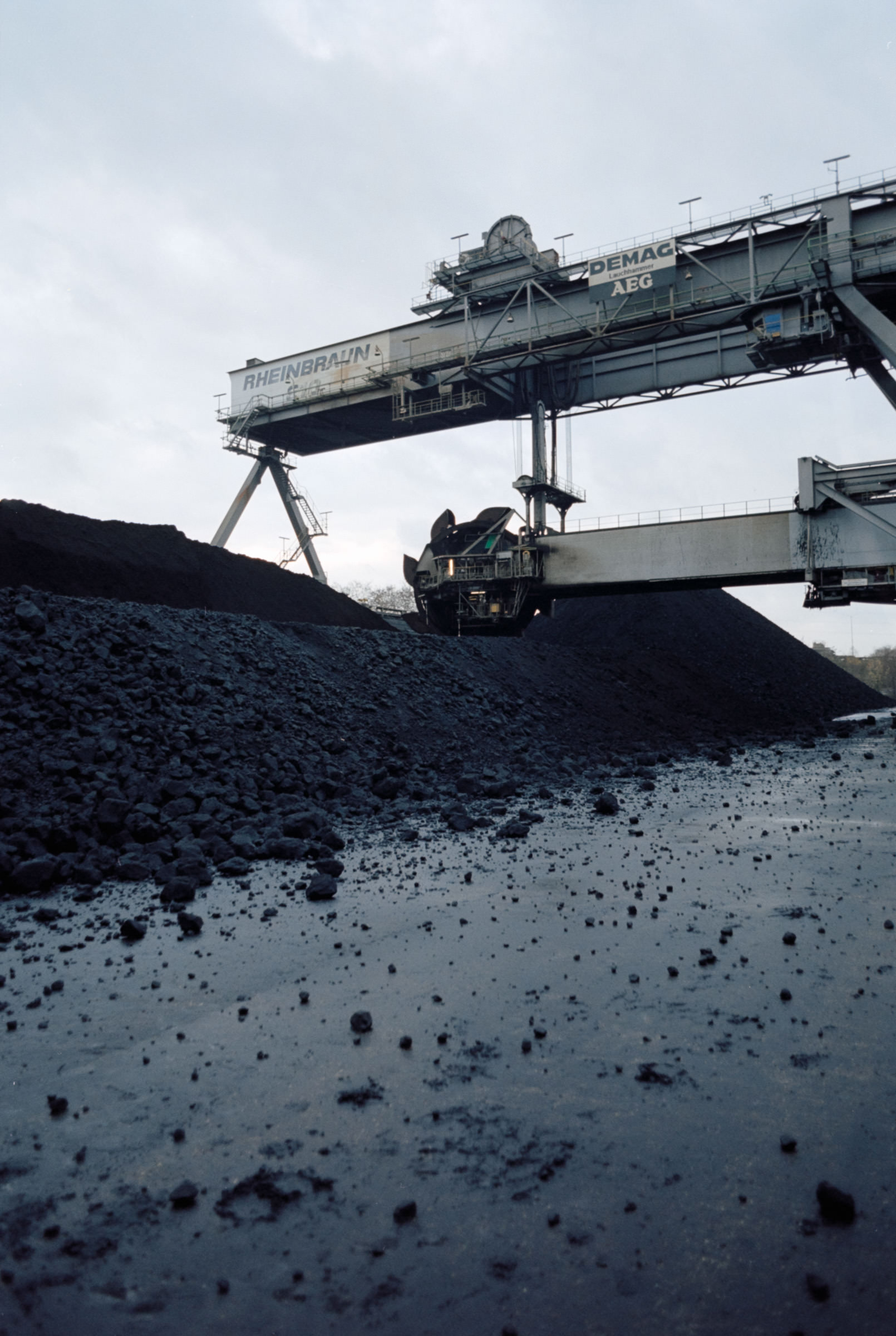 AHP film 2004 11 001 sc240828 img24 NLP